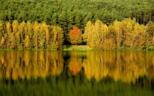 485770 (a): :1920x1200